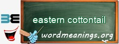 WordMeaning blackboard for eastern cottontail